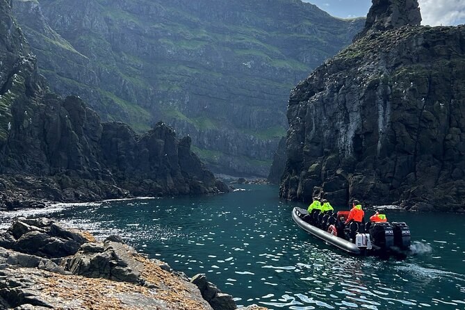 Papey Island Puffin & Wildlife Private Boat Charter