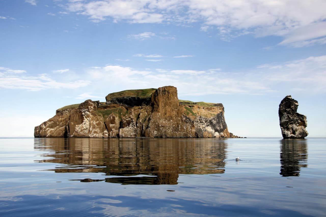 Drangey Island: Seabird Cliffs & Viking Saga Boat Expedition