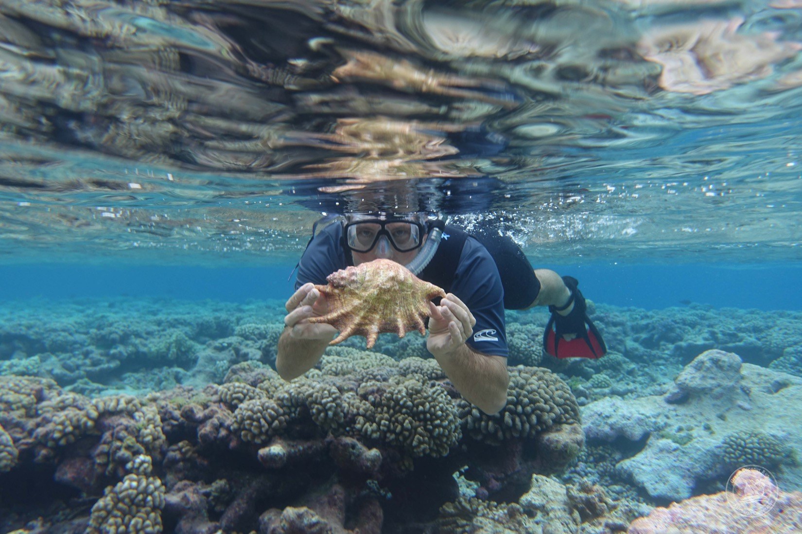 Private Lagoon Snorkel: Tahanea's Cathedral Bommie & Passes