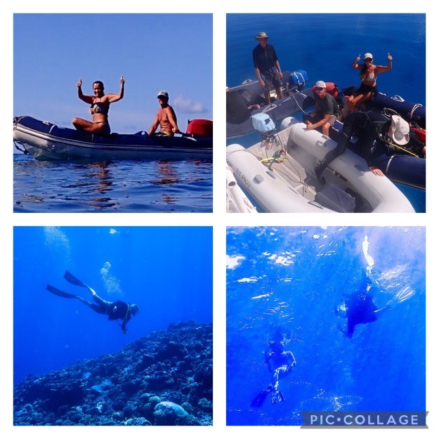 Freediving the Blue: Tahanea Pass with a Certified Local Instructor