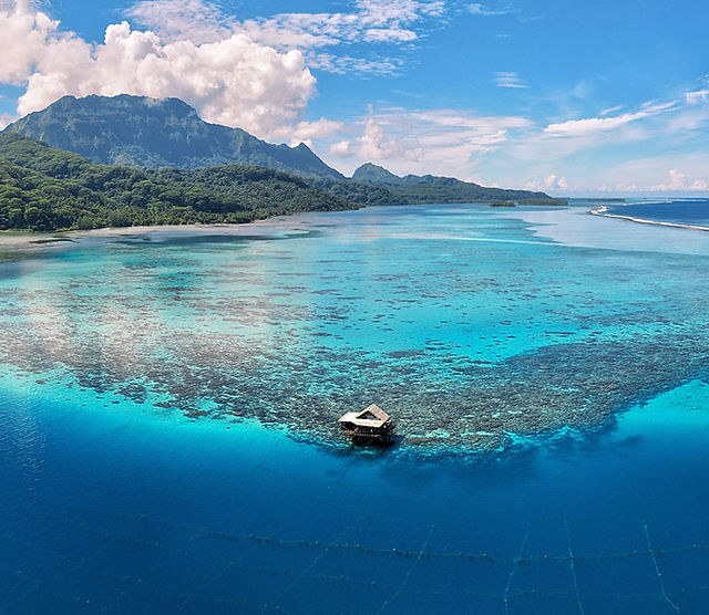 Tuamotu Pearl Farm Immersion: From Living Oyster to Finished Gem