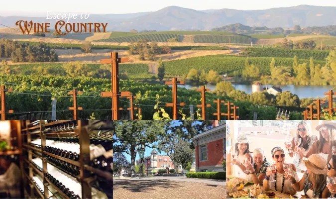 Napa Valley Private Wine Country: Boutique Cellar-Door Tastings