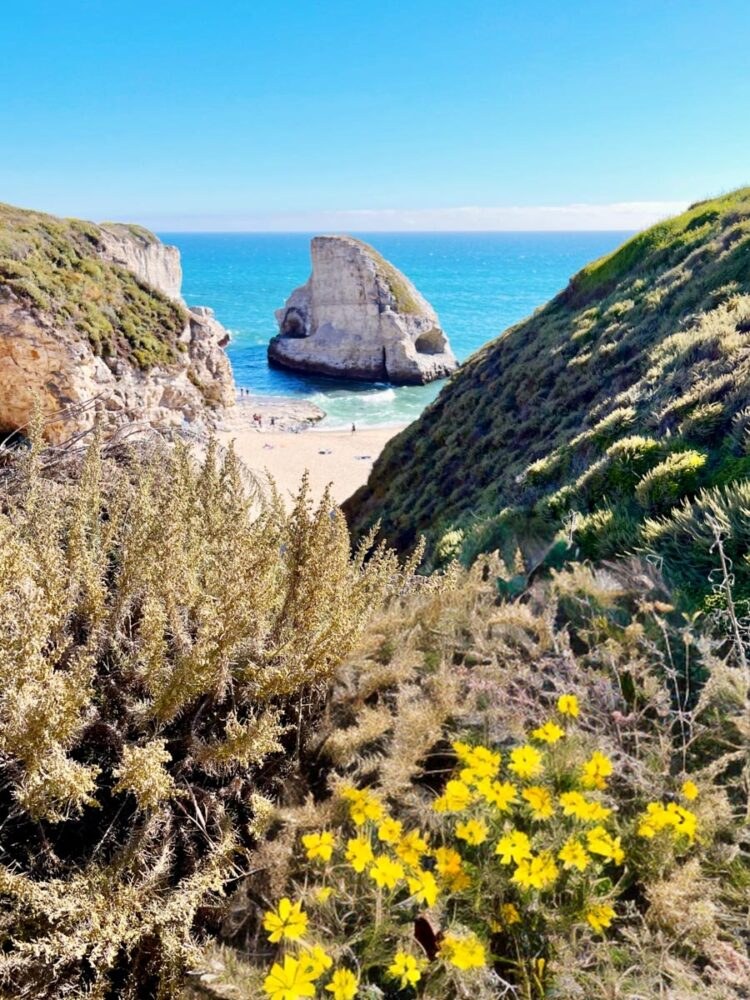 Private Coastal Discovery: Hidden Coves by Sea