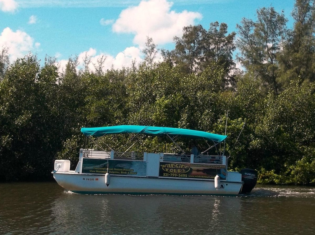 Private Wildlife & Birding Boat into the Coastal Reserve