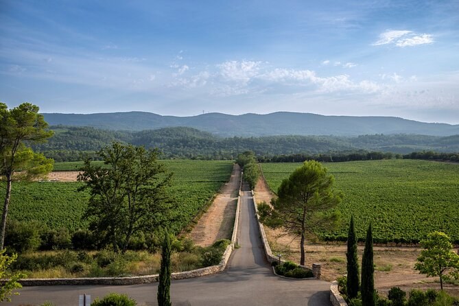 Private Vineyard Estate Tour & Reserve Wine Tasting