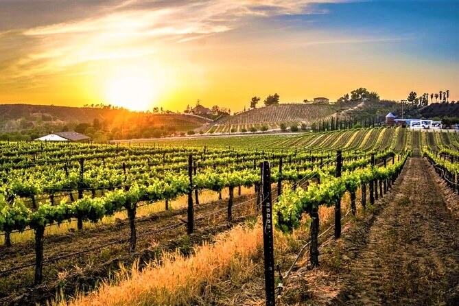 Temecula Wine Country: Private Chauffeured Winery Tour