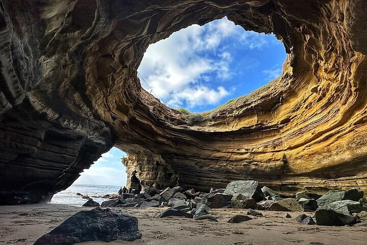 Sunset Wildlife & Sea Cave Expedition