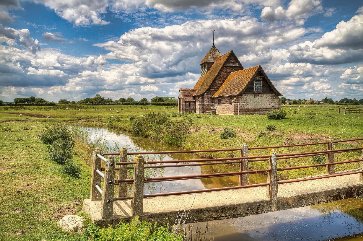 Rye & Romney Marsh: Private Countryside & Coast Day
