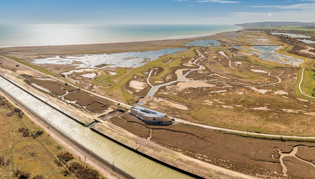 Rye Harbour Nature Reserve: Private Birdwatching Walk