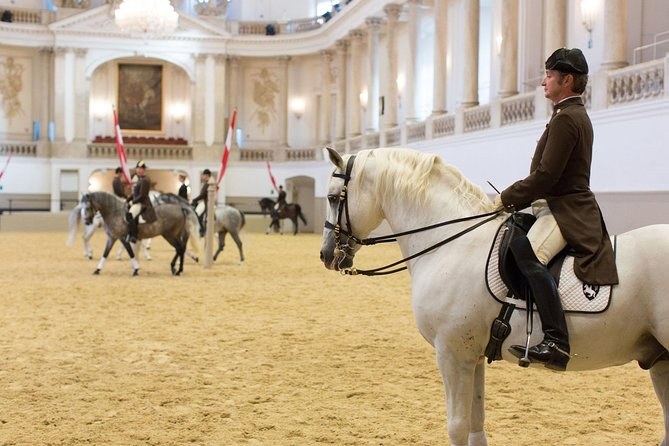 Spanish Riding School — Lipizzaner Stallions Morning Exercise