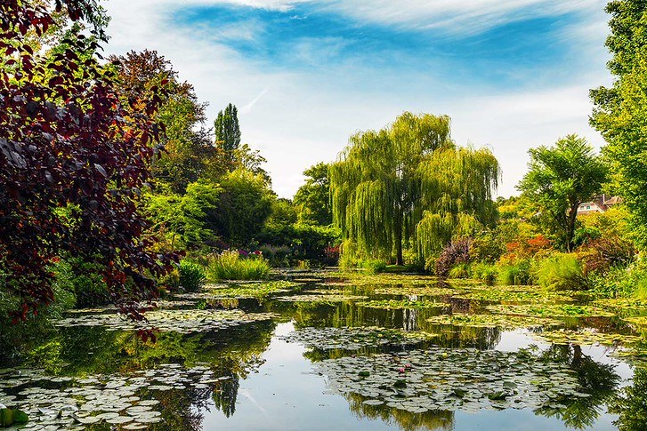 Monet's Giverny: Private Garden & Water-Lily Studios Visit