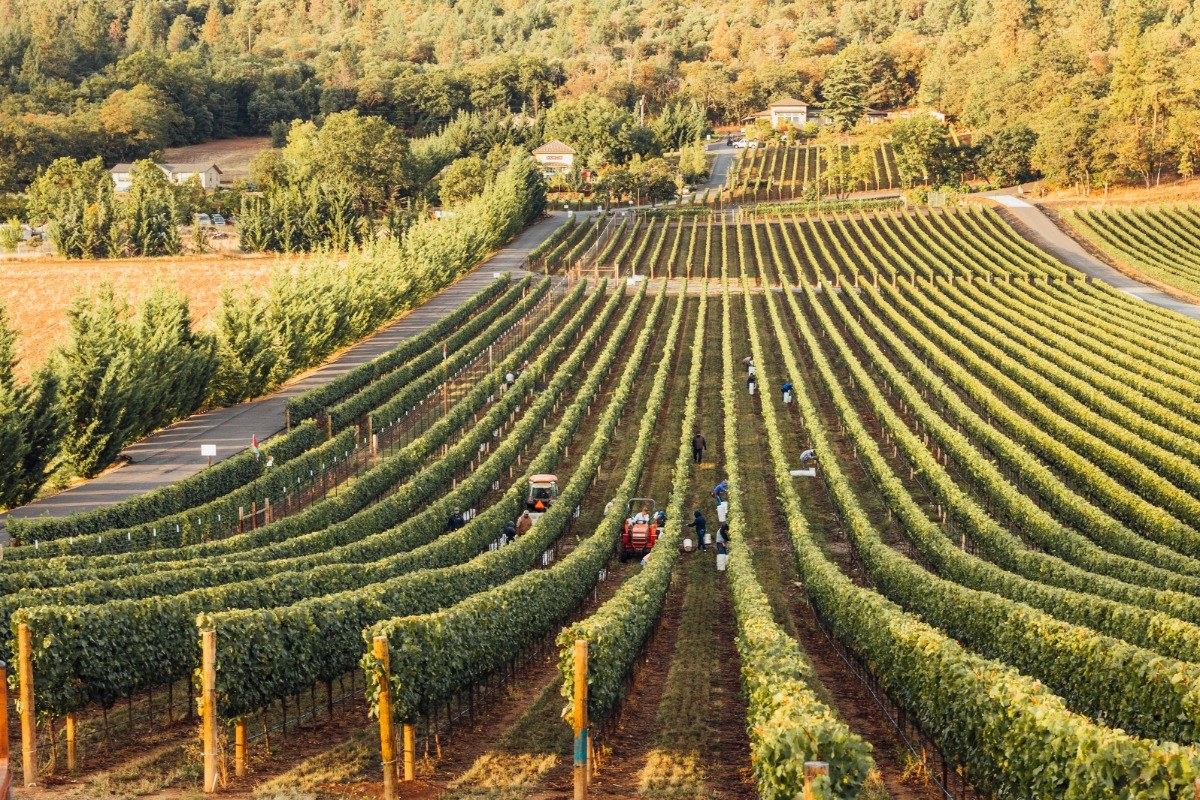 Yapidig Terroir: Private Vineyard & Farmhouse Tasting