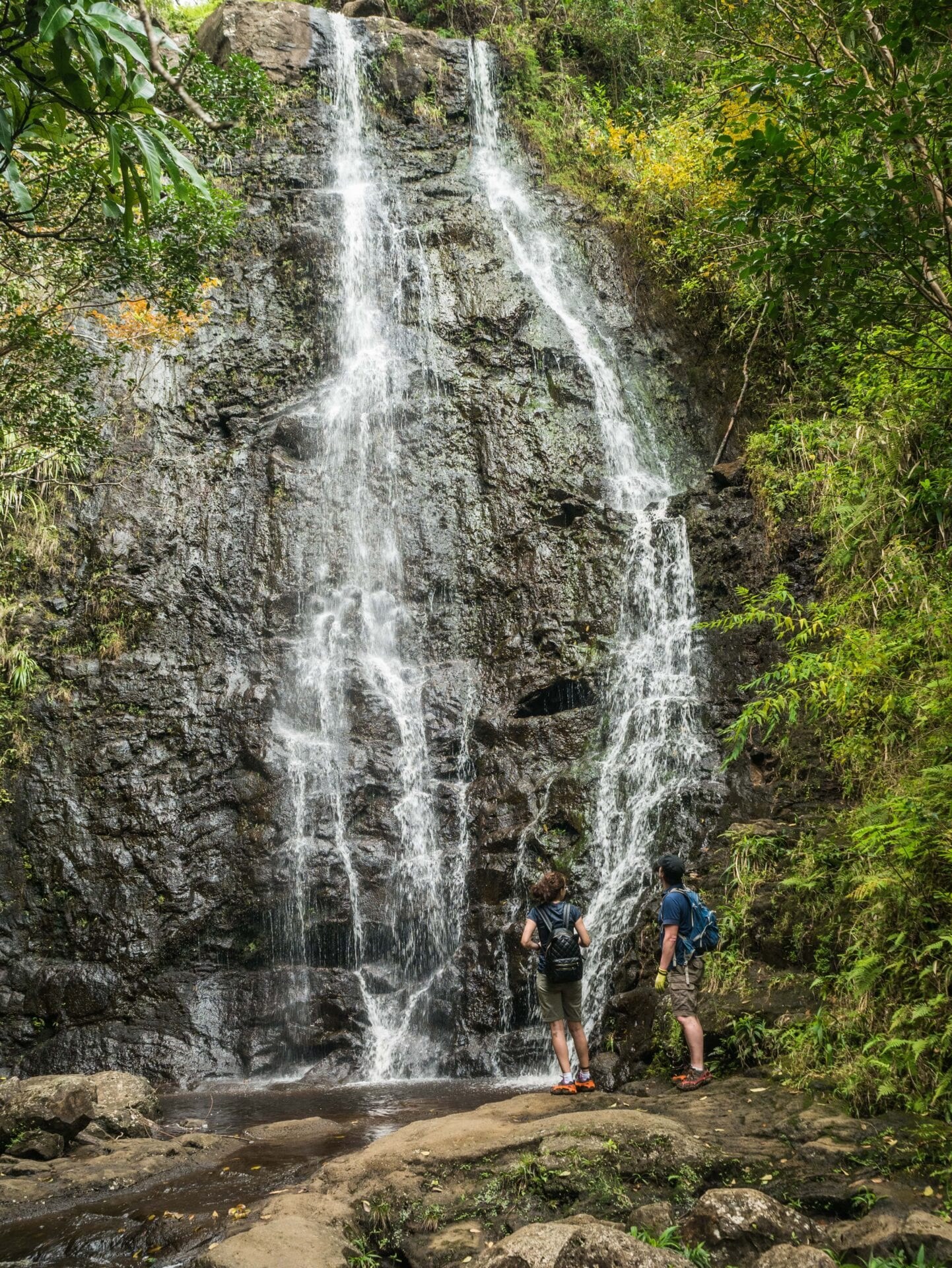 Oowhey Highlands: Private Guided Hike & Viewpoint Picnic