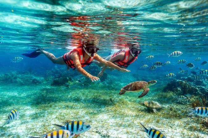 Awrcn Reef: Private Snorkel & Marine Naturalist Tour