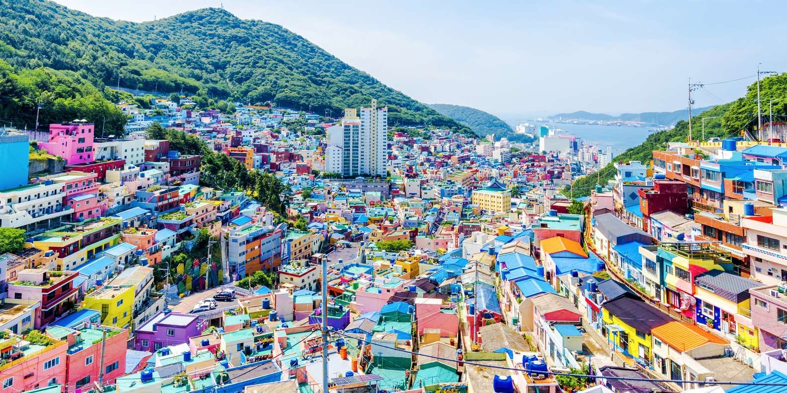 Gamcheon Culture Village & Jagalchi Market Immersion