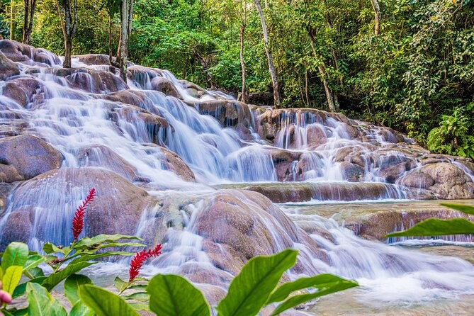 Jamaica: Private Dunn's River Falls & Blue Mountain Coffee Estate