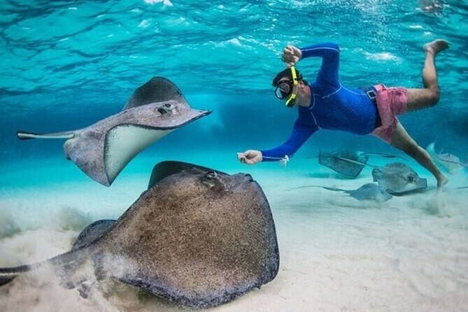 Grand Cayman: Private Stingray Sandbar & Coral Garden Snorkel