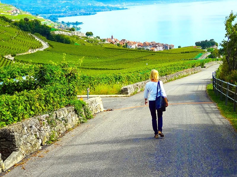 Vineyard Terraces: Private Wine Estate Tasting