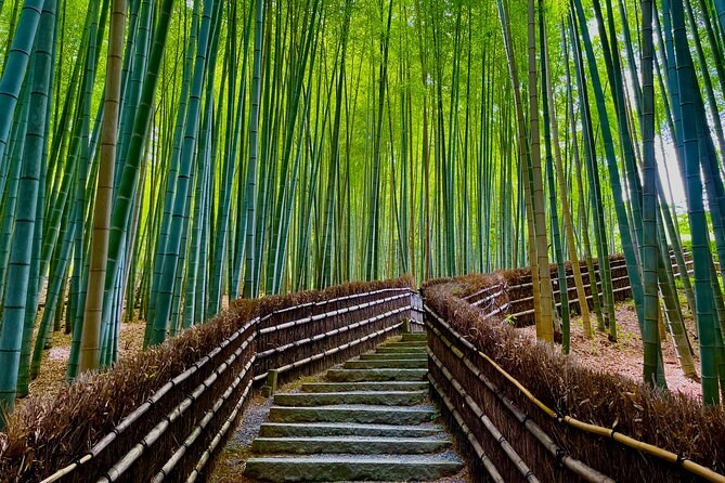 Kyoto's Arashiyama & Fushimi Inari, Private Guide