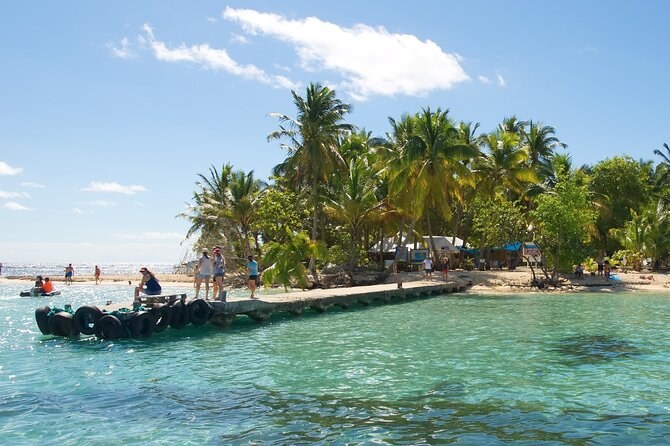 Pointe-à-Pitre City Tour, Wild Island & Pristine Beach Breaks