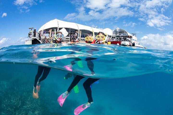 Great Barrier Reef: Private Seaplane + Reef Pontoon Day