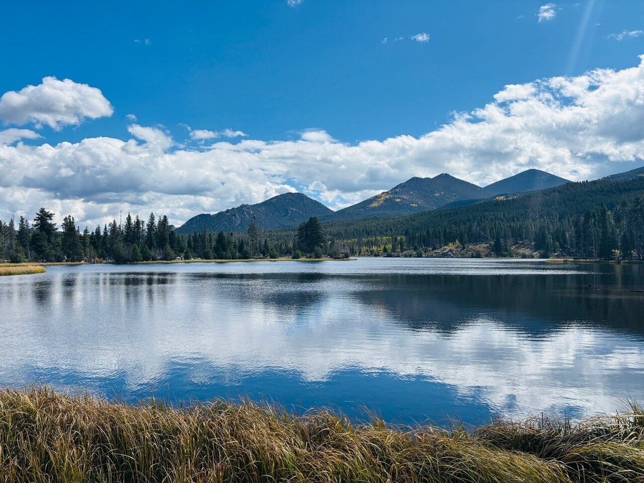 Private Wildlife & Nature Reserve Excursion
