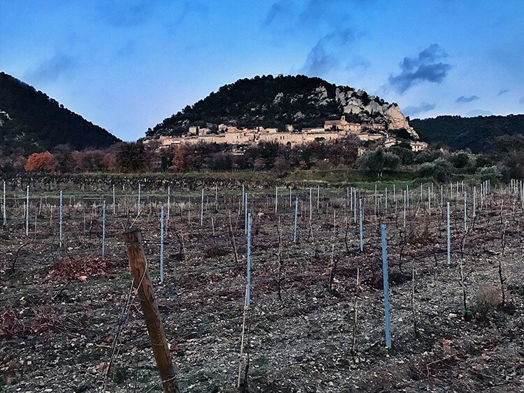 Private Truffle & Wine Estate Day, Provence Hinterland
