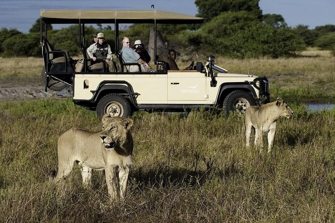 Private Big Five Safari Drive, Cape Town Region