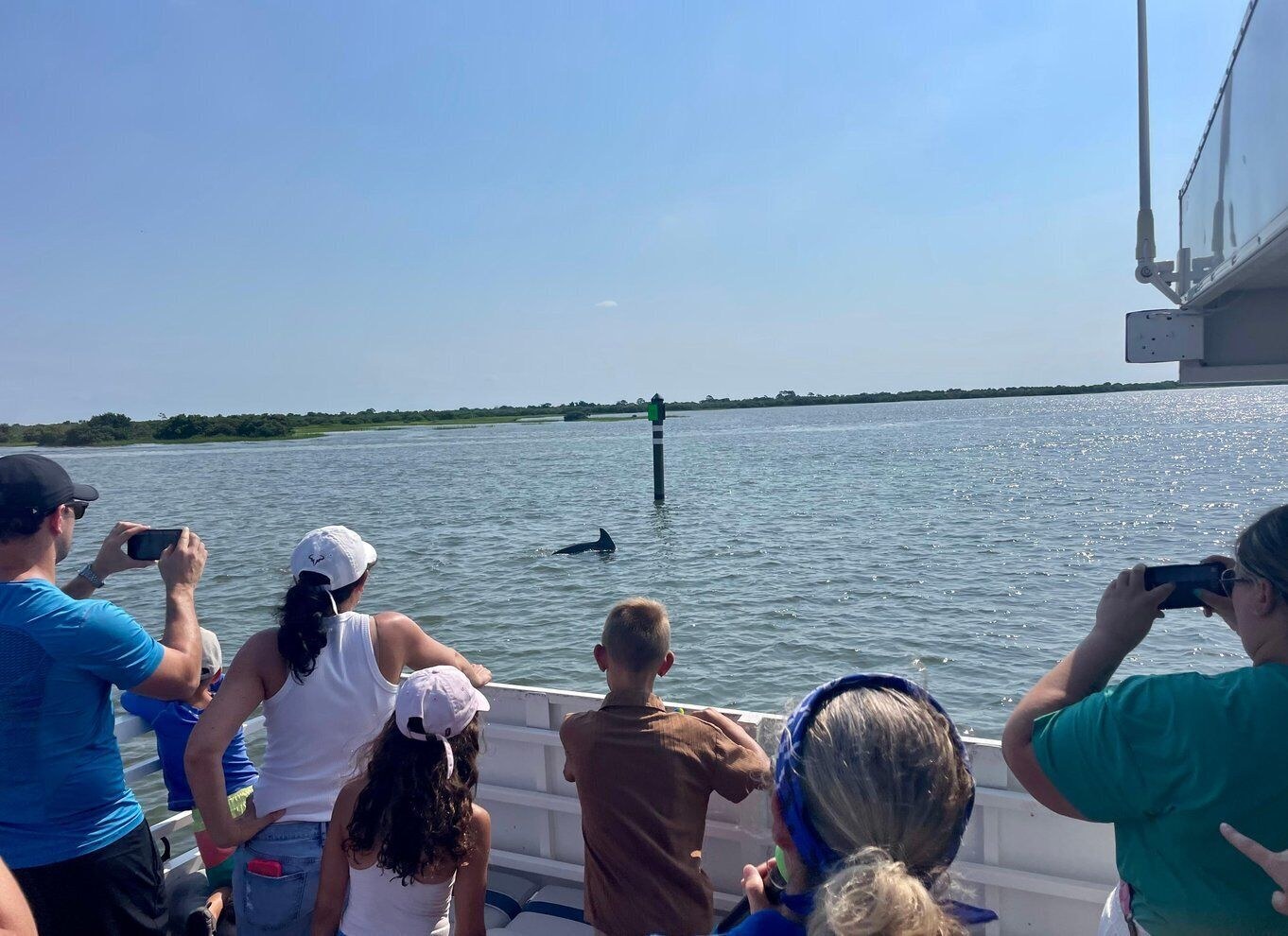 Expert-Led Wildlife & Coastal Nature Excursion