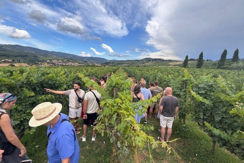 Private Tuscan Countryside & Wine Estate Day