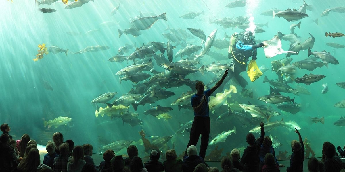 Atlantic Sea Park (Atlanterhavsparken): Private VIP Access