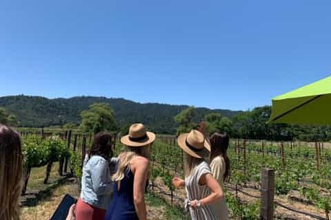 Napa Valley: Private Reserve Wine Estate Tour