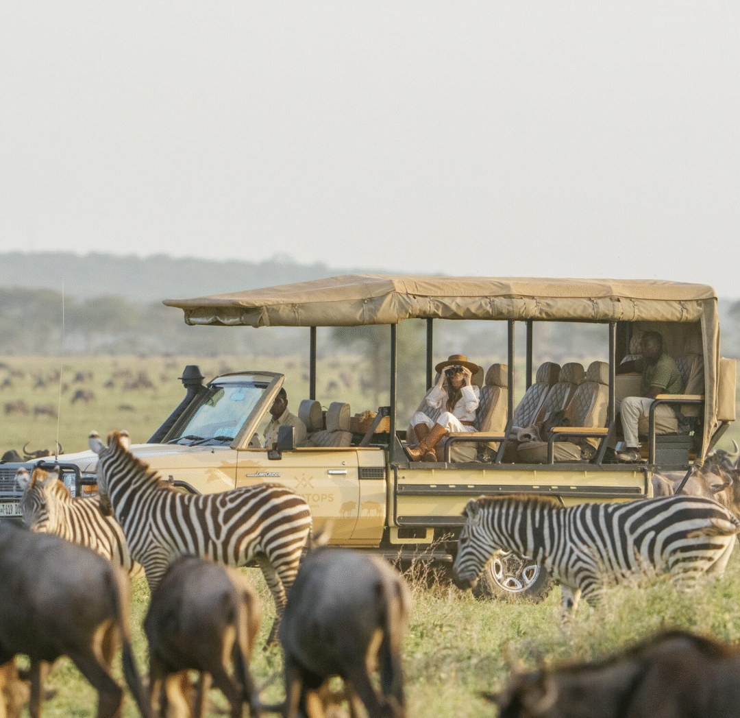 Serengeti-Style Safari Day: Private Game Drive