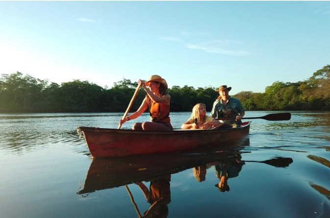 Private Wildlife Boat Safari to the Mangroves