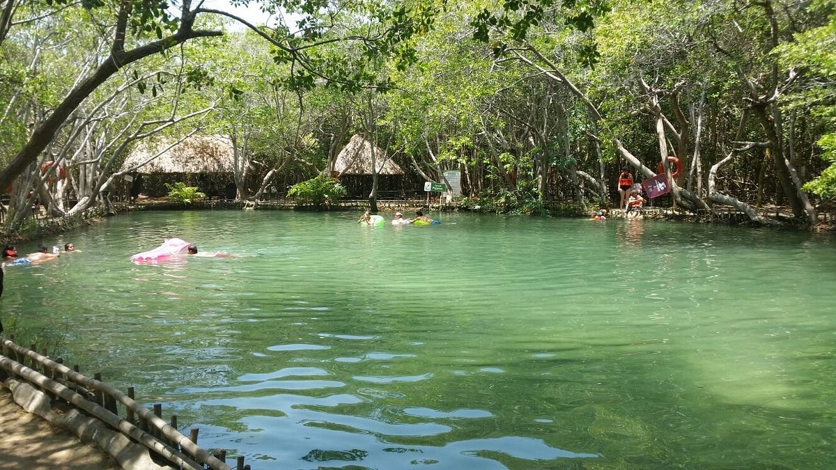 El Corchito Ecological Reserve: Private Cenote & Mangrove Kayak
