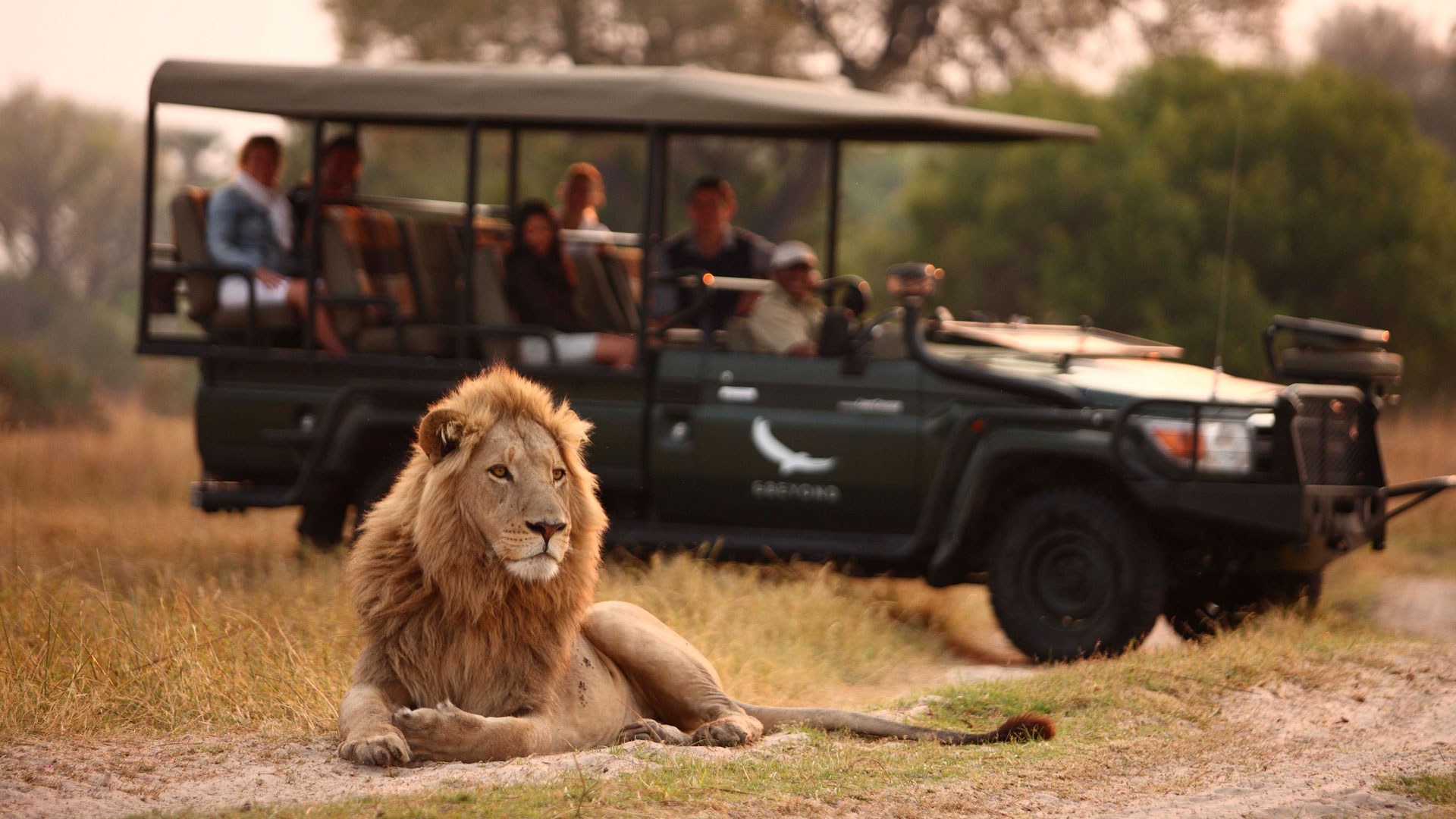 Private Safari Vehicle Game Drive, Table Mountain Reserve