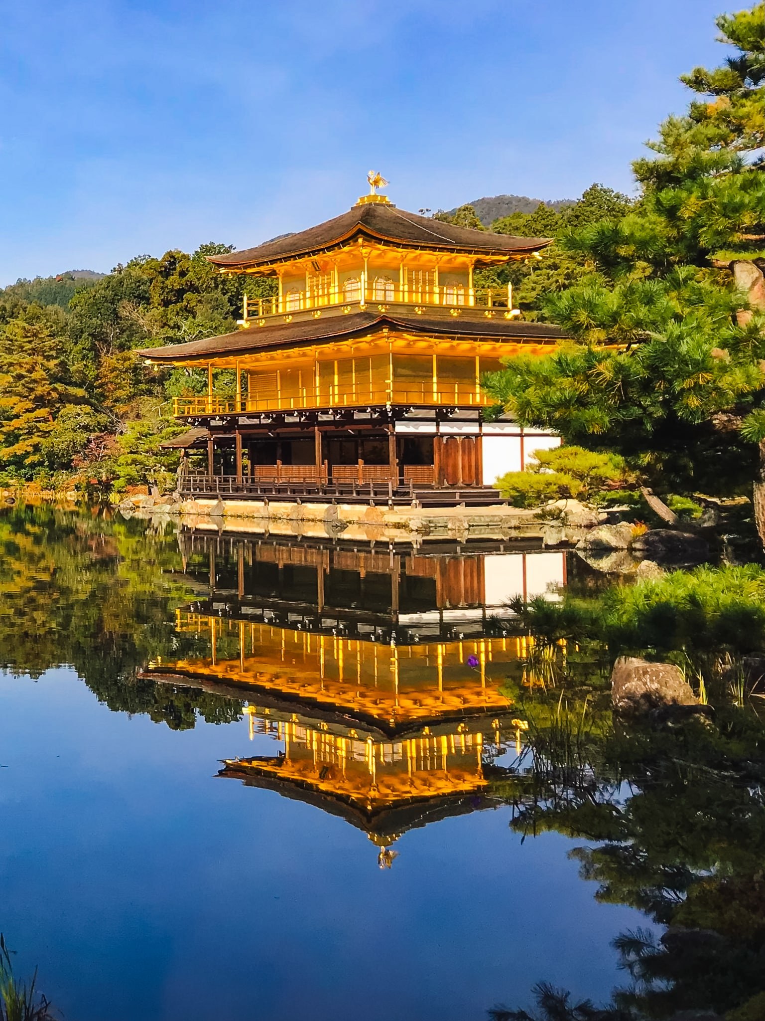 Kyoto Golden Pavilion & Gion Private Culture Walk