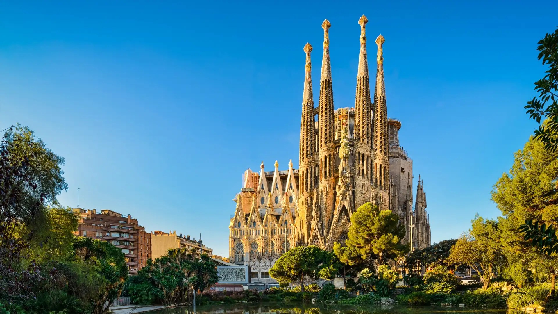 Sagrada Família: Gaudí's Basilica + Tower Climb