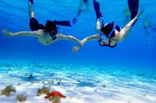 Cozumel cruise excursions