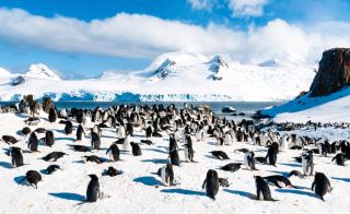 South Shetland Islands