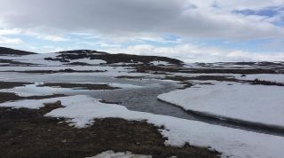 Iqaluit