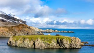 Bear Island