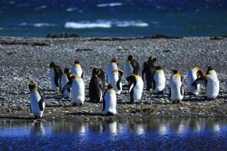 Punta Arenas