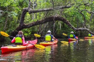 Jacksonville cruise excursions