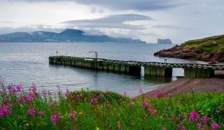 Gaspe