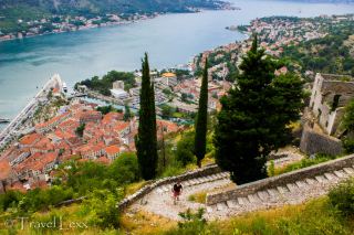 Kotor