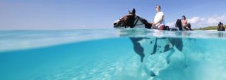 Half Moon Cay (Little San Salvador Island)