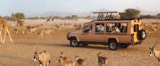 Sir Bani Yas Island