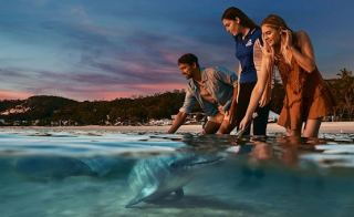 Moreton Island