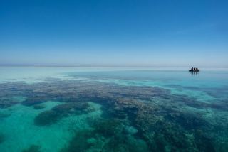 Ashmore Reef